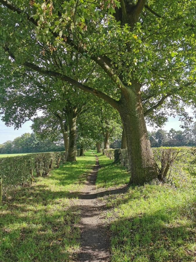 B&B Johannesberg Oldebroek Bagian luar foto